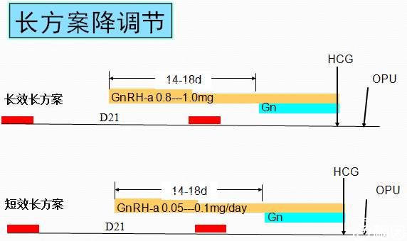 分享上海借卵做试管婴儿过程中最重要的四个阶段