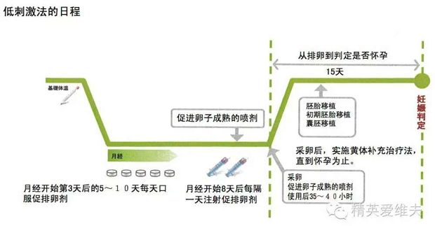 借卵生子代怀试管的几率有多大