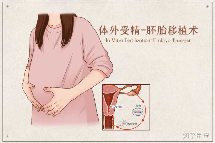 什么是上海供卵_2022年温州赠卵借卵做试管婴儿医院排名与成功率及费用介绍