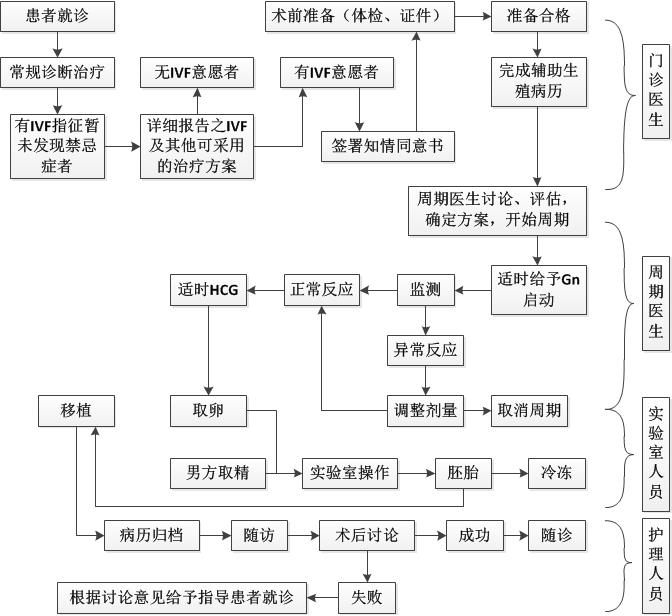 供卵自怀试管成功后的下一步是什么？