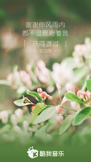 做二代做借卵试管婴儿多少钱