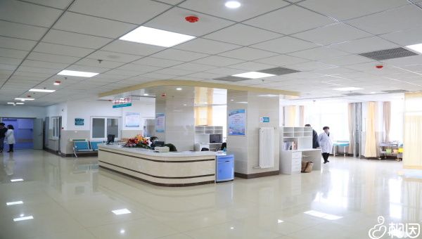 2024可以借卵试管代怀服务的上海十大试管医院排名