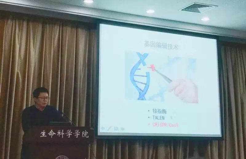 2024上海三代代生儿子双胞胎医院大全,上海姐妹就医实用指南