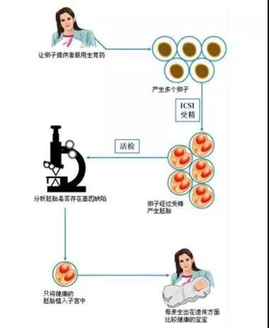 2024在华中科技大学同济医学院附属同济助孕代生产医院排名费用多少钱