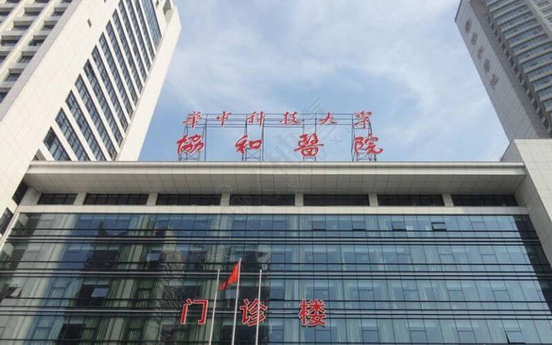 试管移植40天胎停原因